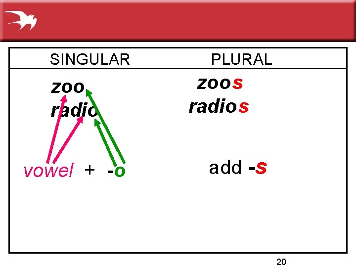 SINGULAR zoo radio vowel + -o PLURAL zoo s radio s add -s 20