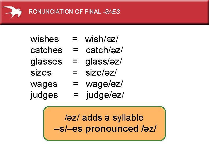 RONUNCIATION OF FINAL -S/-ES wishes catches glasses sizes wages judges = = = wish/