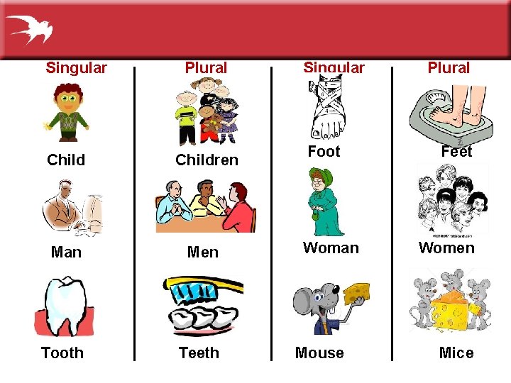 Singular Plural Children Man Men Tooth Teeth Singular Foot Woman Mouse Plural Feet Women