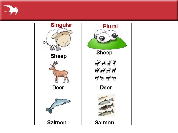 Singular Sheep Plural Sheep Deer Salmon 