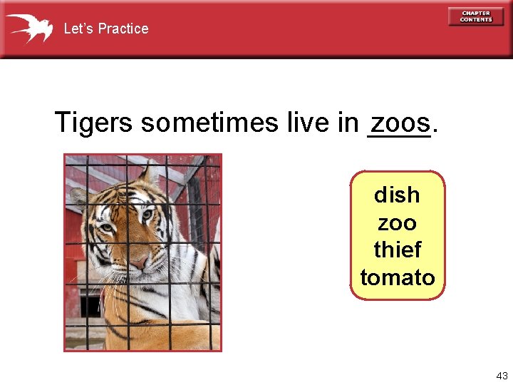 Let’s Practice Tigers sometimes live in ____. zoos dish zoo thief tomato 43 