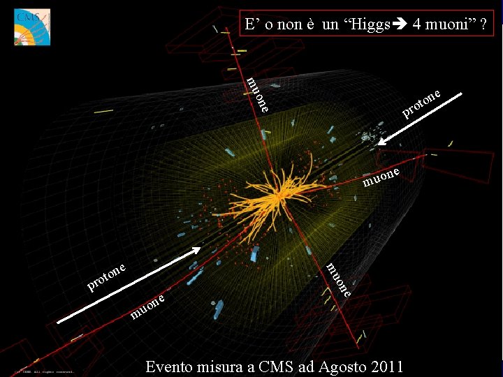 Le particelle elementari E’ o non è un “Higgs 4 muoni” ? on mu