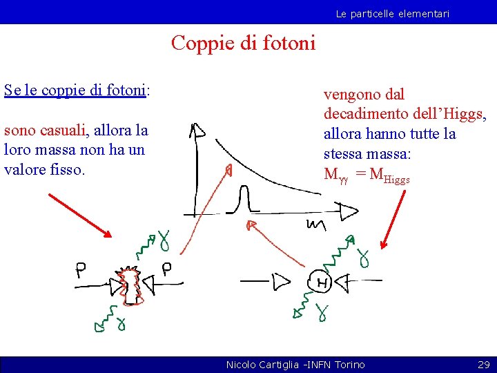 Le particelle elementari Coppie di fotoni Se le coppie di fotoni: sono casuali, allora