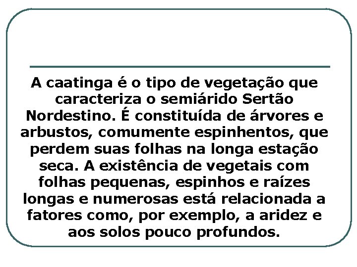 A caatinga é o tipo de vegetação que caracteriza o semiárido Sertão Nordestino. É