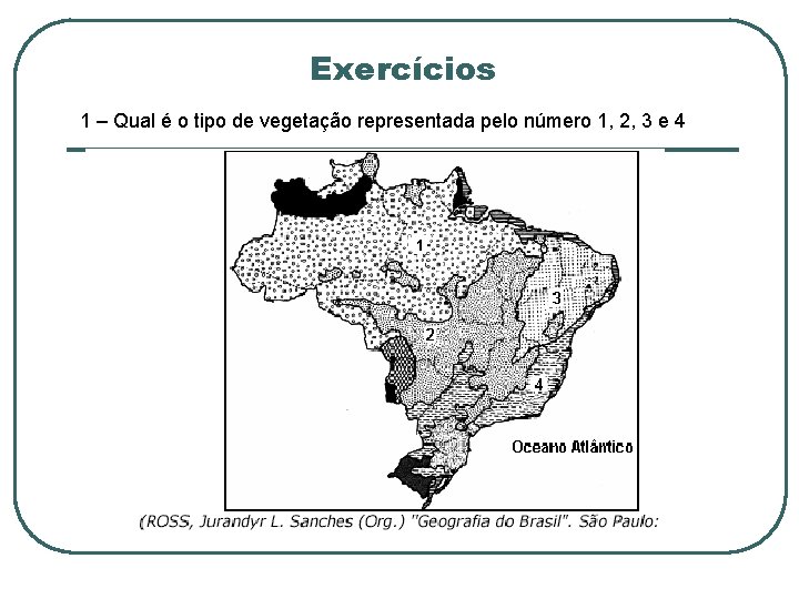 Exercícios 1 – Qual é o tipo de vegetação representada pelo número 1, 2,