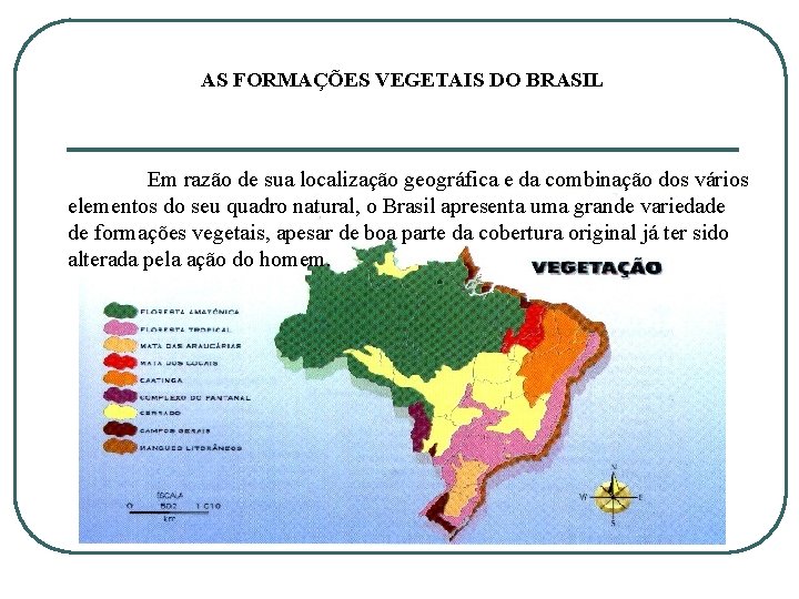 AS FORMAÇÕES VEGETAIS DO BRASIL Em razão de sua localização geográfica e da combinação