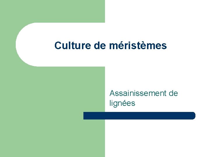 Culture de méristèmes Assainissement de lignées Culture de méristèmes Assainissement de lignées