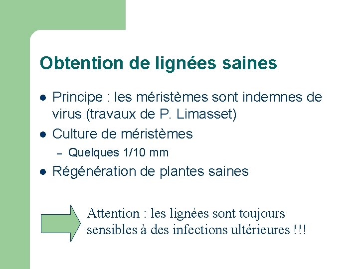 Obtention de lignées saines l l Principe : les méristèmes sont indemnes de virus Obtention de lignées saines l l Principe : les méristèmes sont indemnes de virus