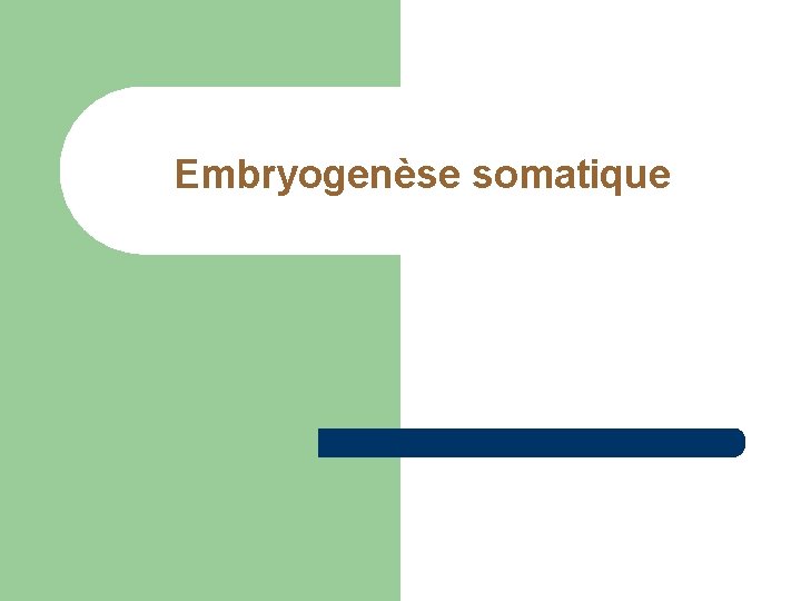 Embryogenèse somatique Embryogenèse somatique