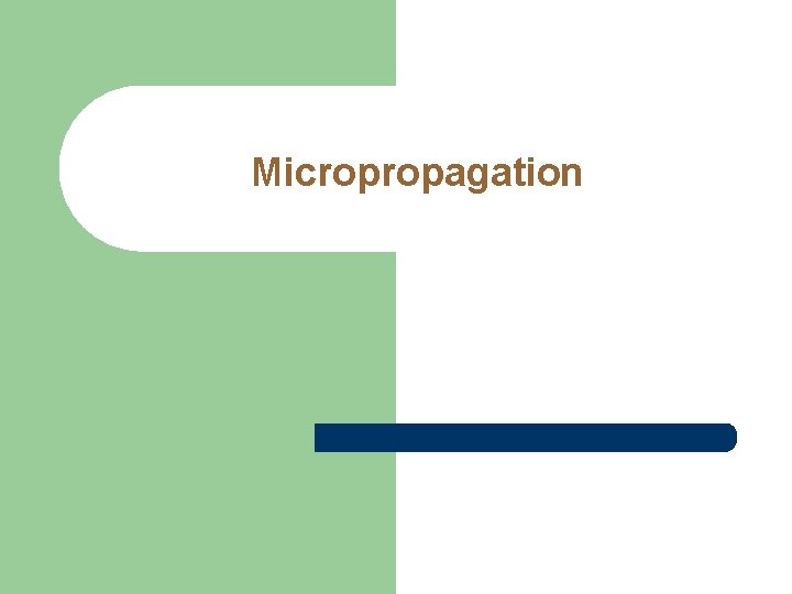 Micropropagation Micropropagation