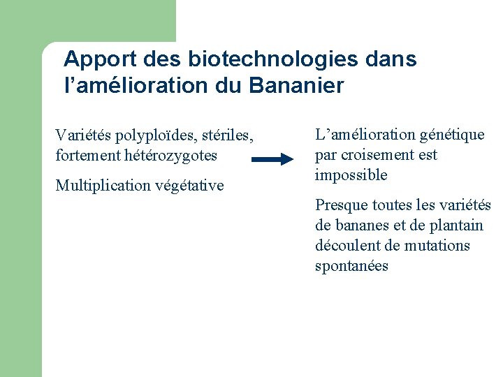 Apport des biotechnologies dans l’amélioration du Bananier Variétés polyploïdes, stériles, fortement hétérozygotes Multiplication végétative Apport des biotechnologies dans l’amélioration du Bananier Variétés polyploïdes, stériles, fortement hétérozygotes Multiplication végétative