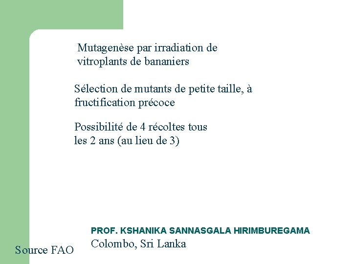 Mutagenèse par irradiation de vitroplants de bananiers Sélection de mutants de petite taille, à Mutagenèse par irradiation de vitroplants de bananiers Sélection de mutants de petite taille, à