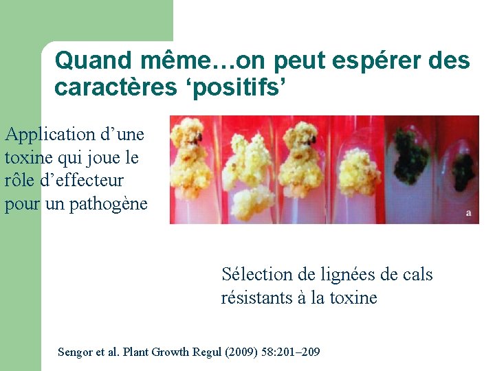 Quand même…on peut espérer des caractères ‘positifs’ Application d’une toxine qui joue le rôle Quand même…on peut espérer des caractères ‘positifs’ Application d’une toxine qui joue le rôle