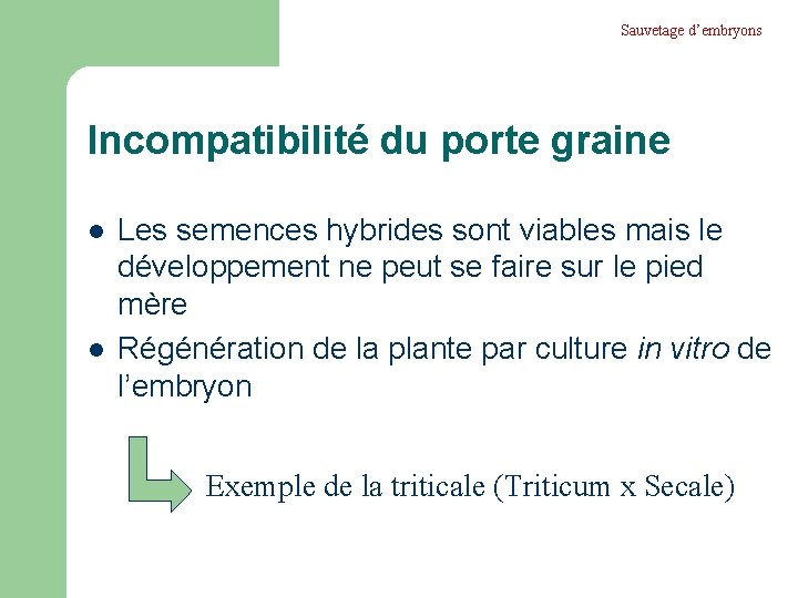 Sauvetage d’embryons Incompatibilité du porte graine l l Les semences hybrides sont viables mais Sauvetage d’embryons Incompatibilité du porte graine l l Les semences hybrides sont viables mais