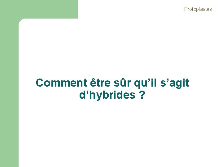 Protoplastes Comment être sûr qu’il s’agit d’hybrides ? Protoplastes Comment être sûr qu’il s’agit d’hybrides ?