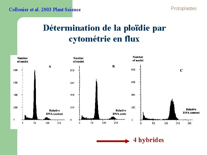 Protoplastes Collonier et al. 2003 Plant Science Détermination de la ploïdie par cytométrie en Protoplastes Collonier et al. 2003 Plant Science Détermination de la ploïdie par cytométrie en