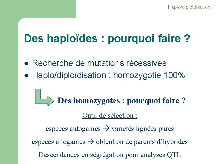 Haplo/diploïdisation Des haploïdes : pourquoi faire ? l l Recherche de mutations récessives Haplo/diploïdisation Haplo/diploïdisation Des haploïdes : pourquoi faire ? l l Recherche de mutations récessives Haplo/diploïdisation