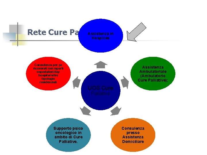 Assistenza in Rete Cure Palliative Hospices Consulenza per pz ricoverati nei reparti ospedalieri/day hospital/altre