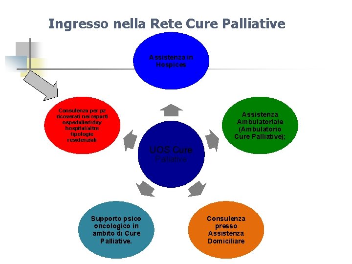 Ingresso nella Rete Cure Palliative Assistenza in Hospices Consulenza per pz ricoverati nei reparti