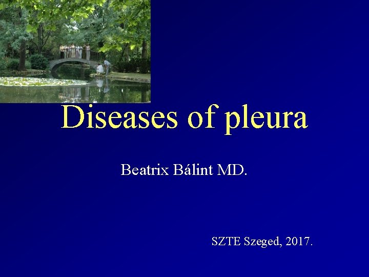 Diseases of pleura Beatrix Bálint MD. SZTE Szeged, 2017. 