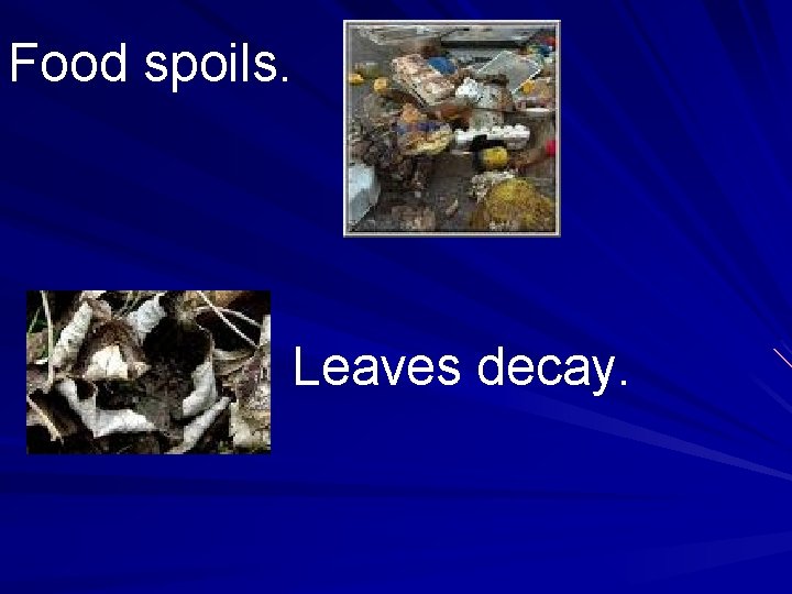 Food spoils. Leaves decay. 