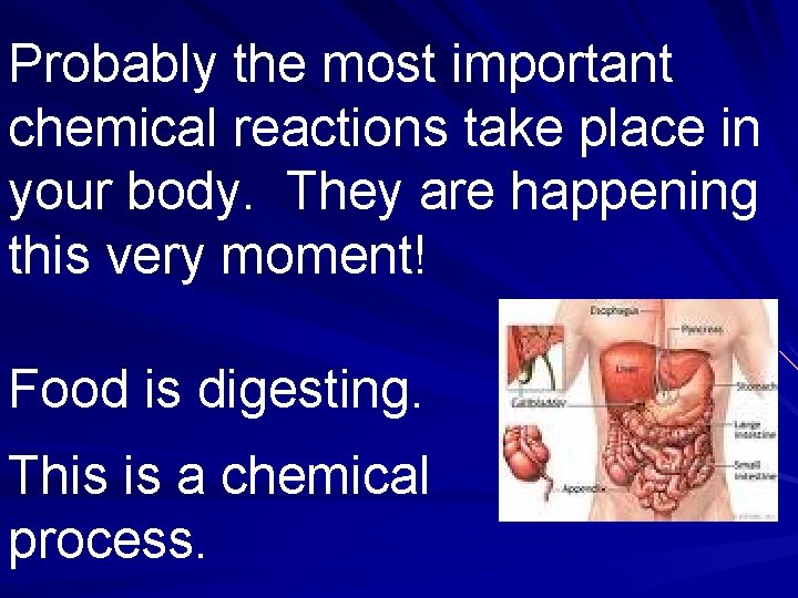 Probably the most important chemical reactions take place in your body. They are happening
