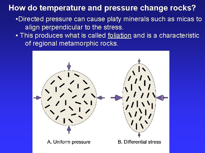 How do temperature and pressure change rocks? • Directed pressure can cause platy minerals