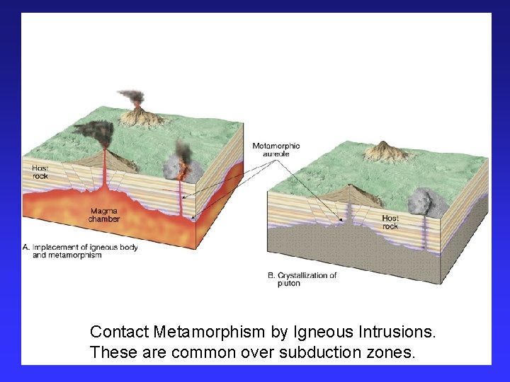 Contact Metamorphism by Igneous Intrusions. These are common over subduction zones. 