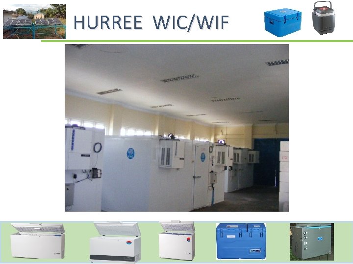  HURREE WIC/WIF 5 