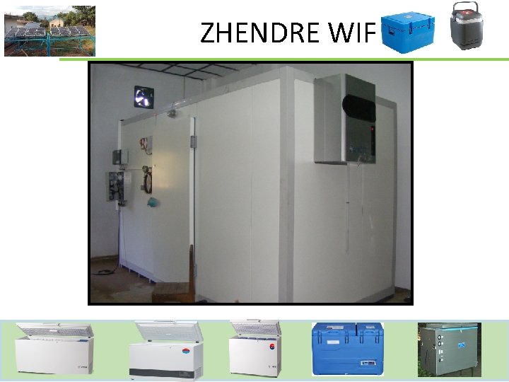 ZHENDRE WIF 7 