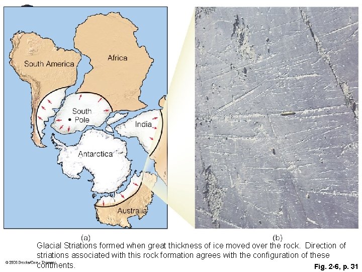Glacial Striations formed when great thickness of ice moved over the rock. Direction of Glacial Striations formed when great thickness of ice moved over the rock. Direction of