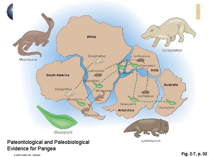 Paleontological and Paleobiological Evidence for Pangea Fig. 2 -7, p. 32 Paleontological and Paleobiological Evidence for Pangea Fig. 2 -7, p. 32