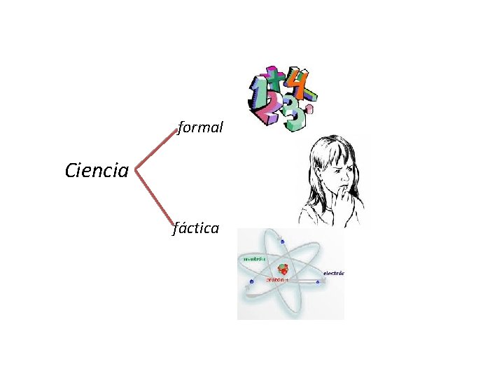 formal Ciencia fáctica 