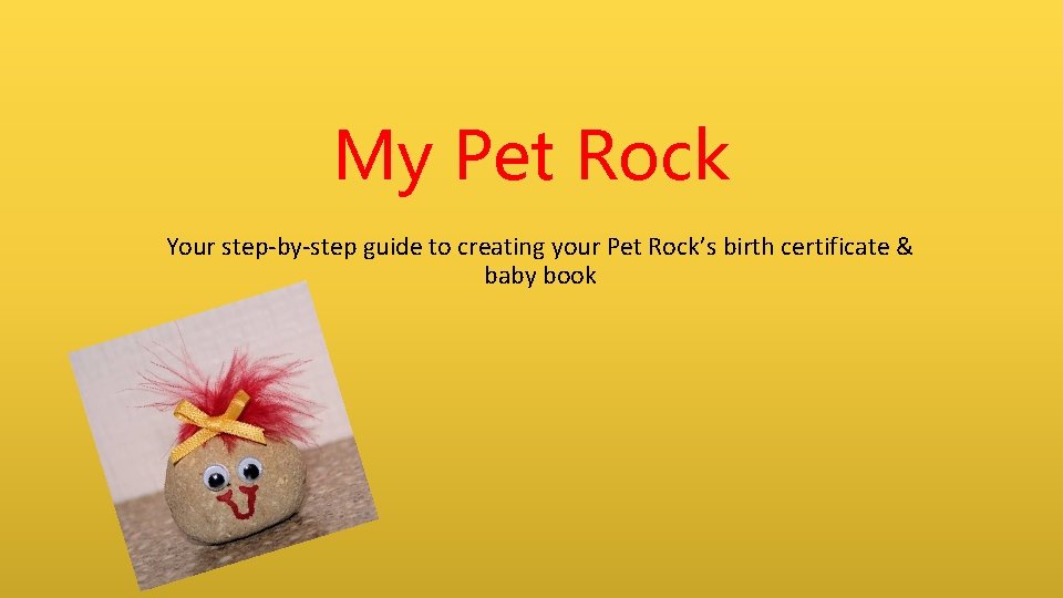 My Pet Rock Your step-by-step guide to creating your Pet Rock’s birth certificate &
