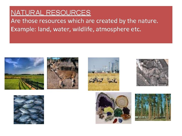 NATURAL RESOURCES Are those resources which are created by the nature. Example: land, water,