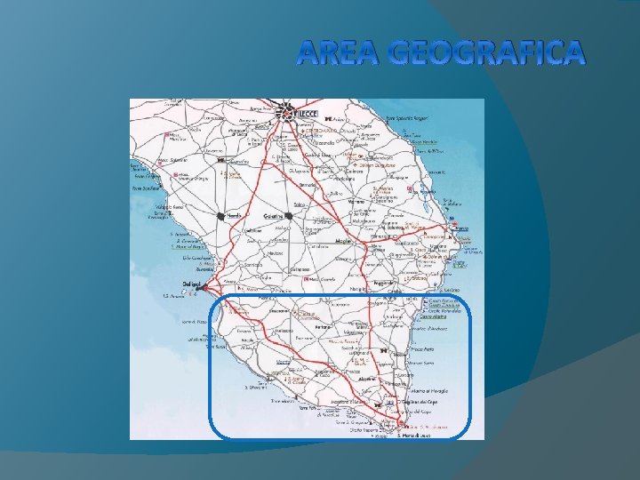 AREA GEOGRAFICA 
