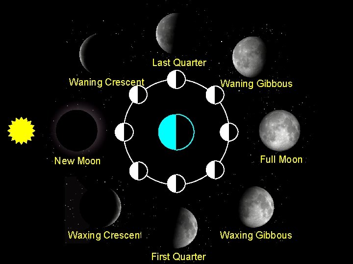 Last Quarter Waning Crescent Waning Gibbous Full Moon New Moon Waxing Crescent Waxing Gibbous