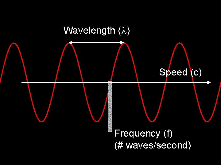 Wavelength ( ) Speed (c) Frequency (f) (# waves/second) 