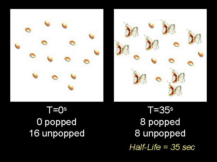 T=0 s 0 popped 16 unpopped T=35 s 8 popped 8 unpopped Half-Life =