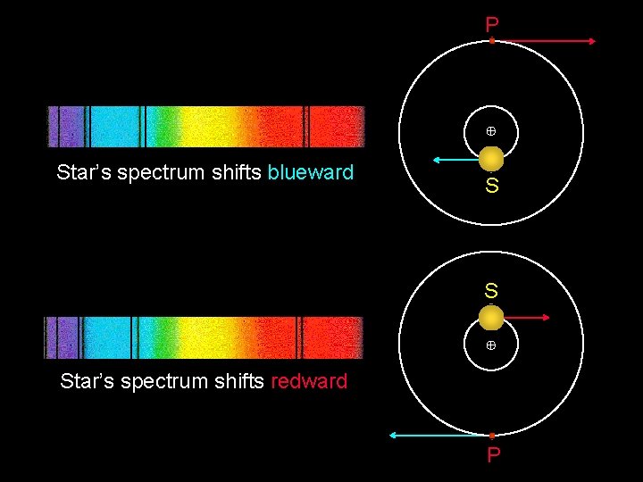 P Star’s spectrum shifts blueward S S Star’s spectrum shifts redward P 