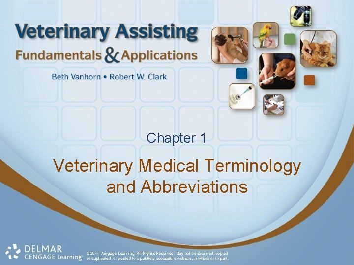 Chapter 1 Veterinary Medical Terminology and Abbreviations © 2011 Cengage Learning. All Rights Reserved.