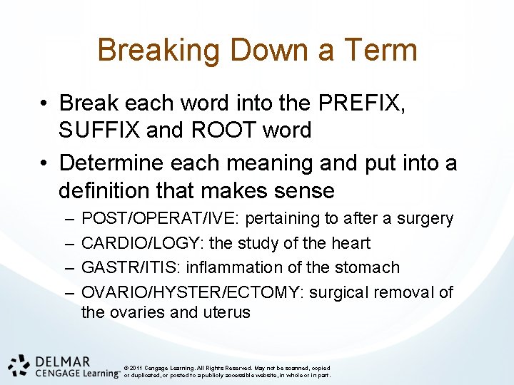 Breaking Down a Term • Break each word into the PREFIX, SUFFIX and ROOT