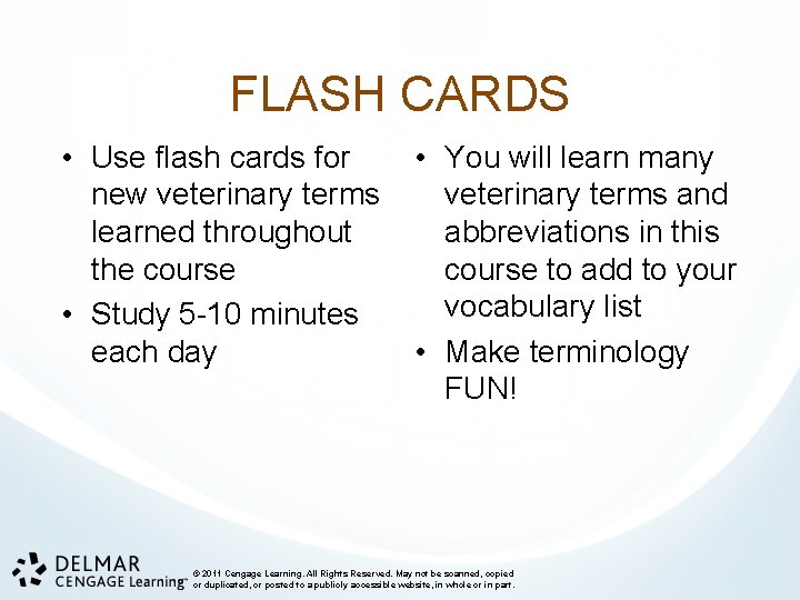 FLASH CARDS • Use flash cards for new veterinary terms learned throughout the course