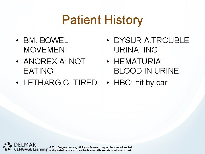Patient History • BM: BOWEL MOVEMENT • ANOREXIA: NOT EATING • LETHARGIC: TIRED •