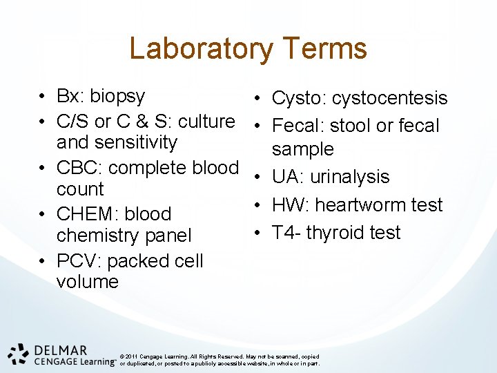 Laboratory Terms • Bx: biopsy • C/S or C & S: culture and sensitivity
