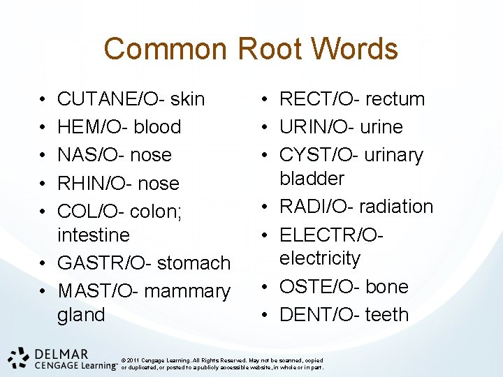 Common Root Words • • • CUTANE/O- skin HEM/O- blood NAS/O- nose RHIN/O- nose