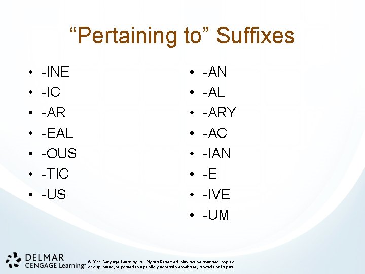“Pertaining to” Suffixes • • -INE -IC -AR -EAL -OUS -TIC -US • •