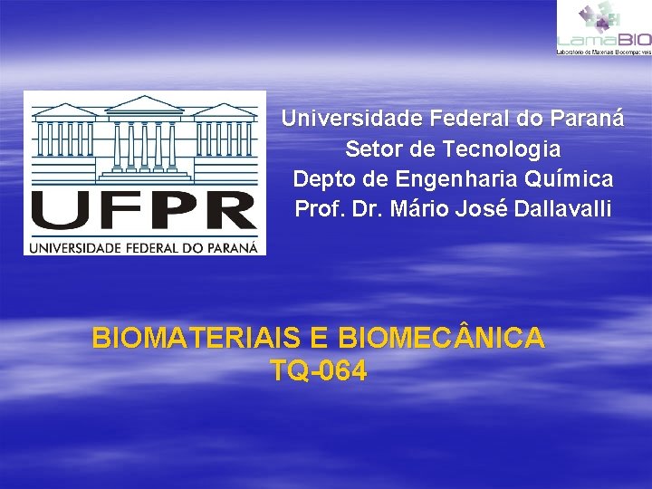 Universidade Federal do Paraná Setor de Tecnologia Depto de Engenharia Química Prof. Dr. Mário