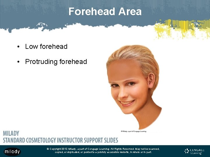 Forehead Area • Low forehead • Protruding forehead © Copyright 2012 Milady, a part Forehead Area • Low forehead • Protruding forehead © Copyright 2012 Milady, a part