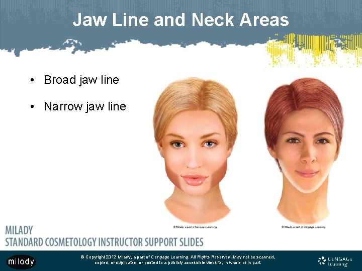 Jaw Line and Neck Areas • Broad jaw line • Narrow jaw line © Jaw Line and Neck Areas • Broad jaw line • Narrow jaw line ©